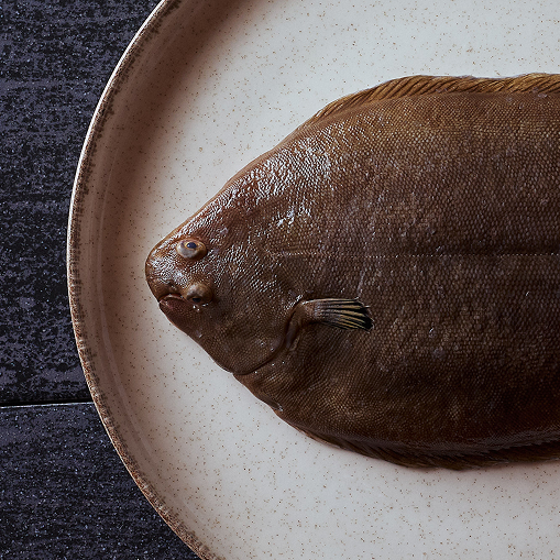 pexels-quang-nguyen-vinh-222549-2150362 1 (2)